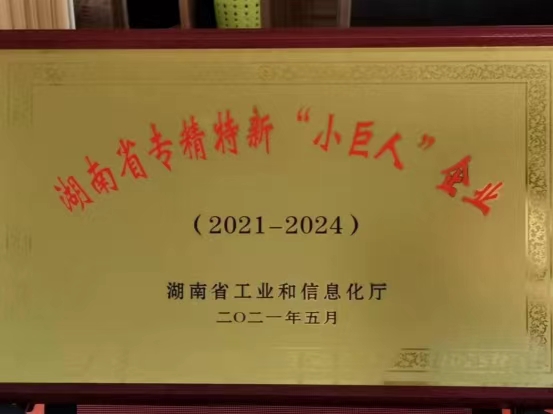“小巨人”企业